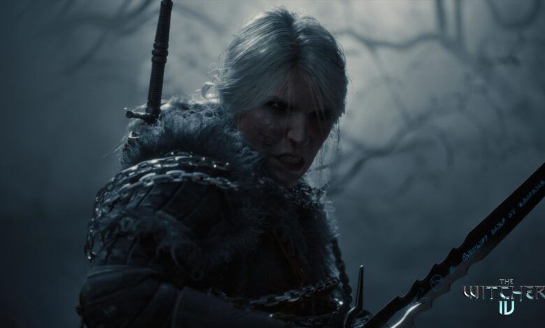 The Witcher 4 ps6