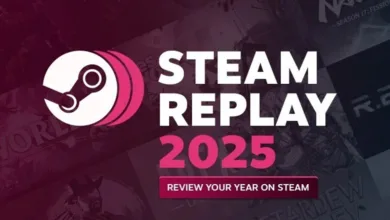 Steam Replay 2025