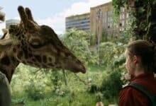 الحلقة الاخيرة مسلسل The Last of Us