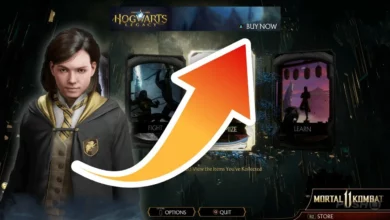 اعلانات Hogwarts Legacy تزعج لاعبي Mortal Kombat 11
