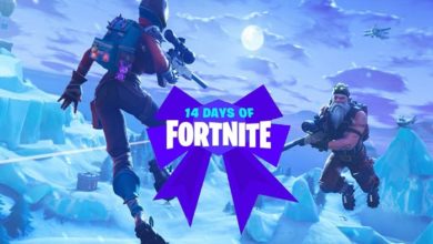 Fortnite