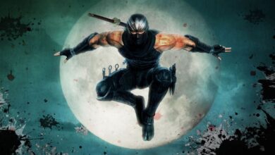Team Ninja