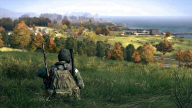 DayZ 2