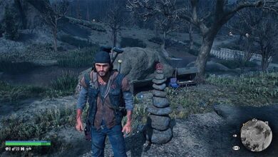 Days Gone