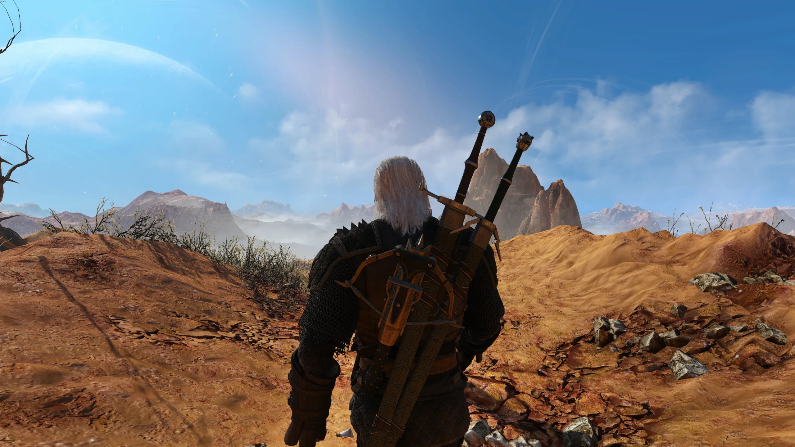 The Witcher 3.