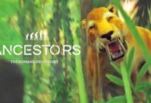 Ancestors: Humankind Odyssey