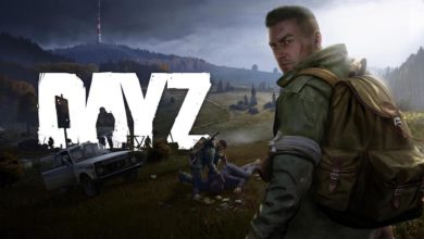 DayZ