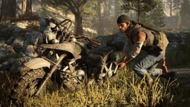 Days Gone