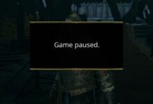 Elden Ring Pause