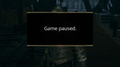 Elden Ring Pause