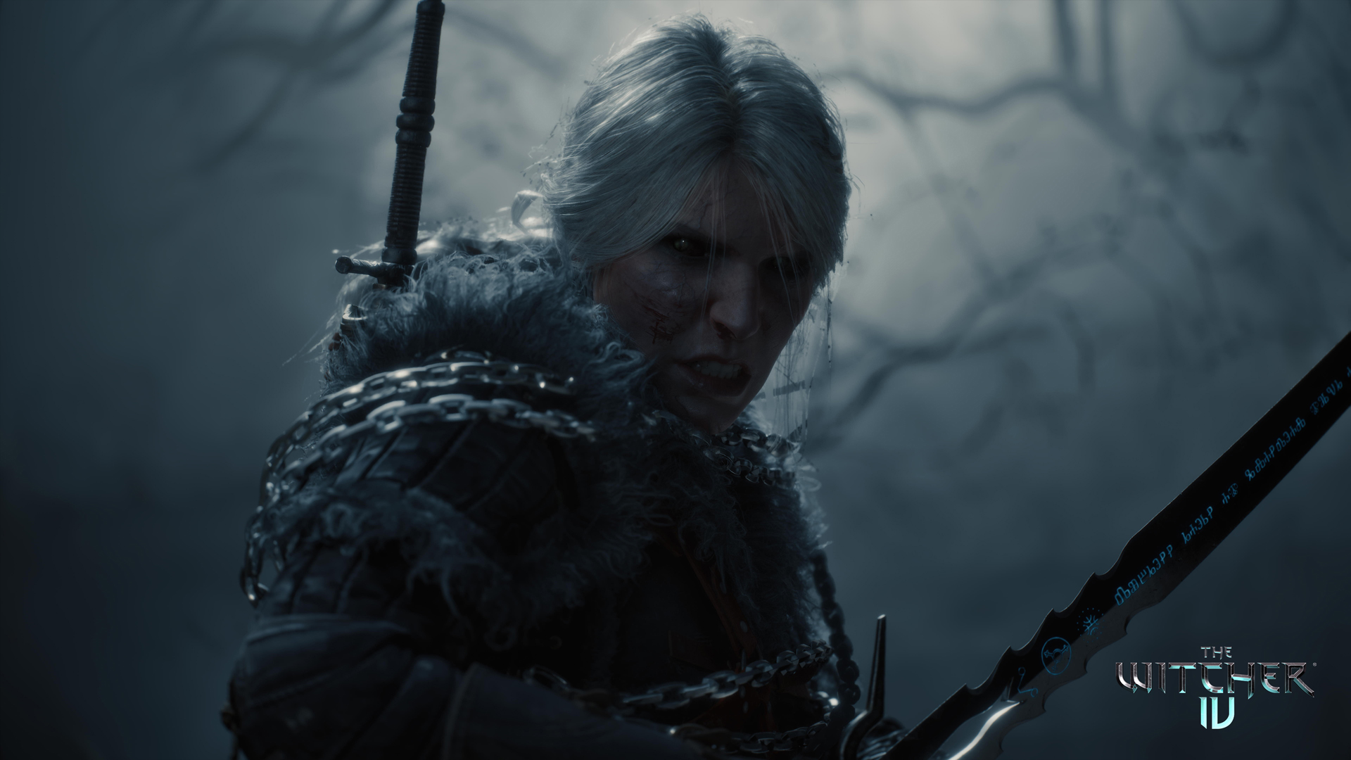 قصة The Witcher 4