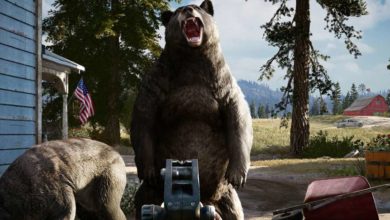 Far Cry 5