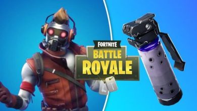 Fortnite