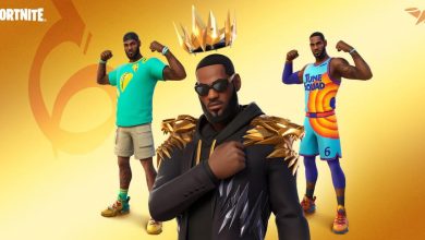 Fortnite LeBron James
