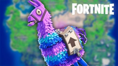 Fortnite Llamas