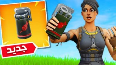 Fortnite