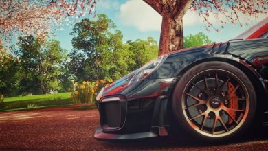 Forza Horizon 5 الحاسب