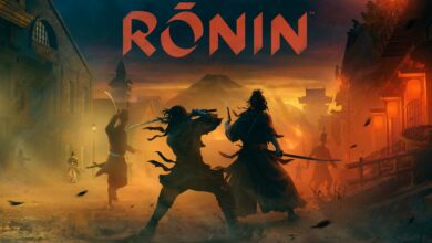 Rise of the Ronin