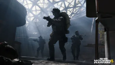 Call of Duty: Modern Warfare 4 DMZ