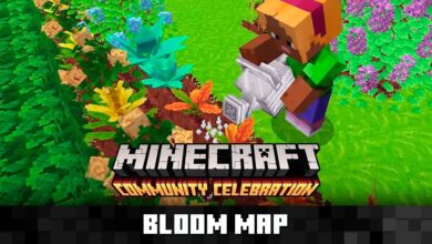 Stardew Valley Minecraft
