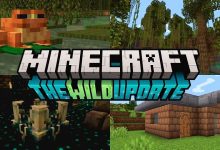 Minecraft Mud