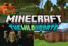 Minecraft The Wild