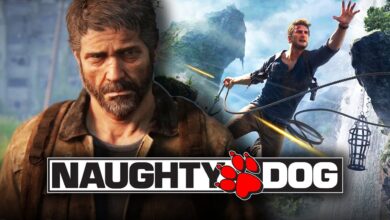 Naughty Dog