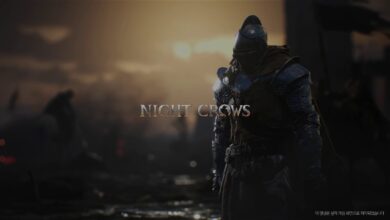 Night Crows