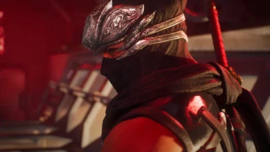 Ninja Gaiden 2 Black Remake