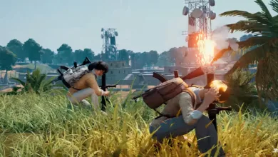 PUBG: Ally Duo