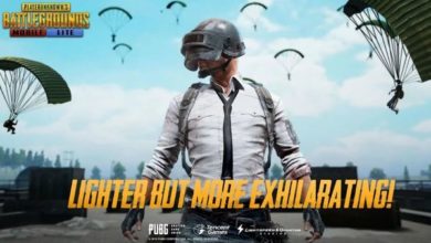 PUBG Mobile Lite