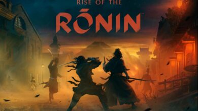 Rise of the Rōnin