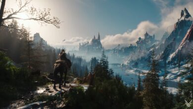 The Witcher 4