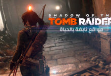 شادو اوف ذا تومبرايد