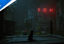 Stray