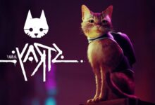 Stray