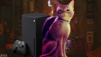 Stray Xbox