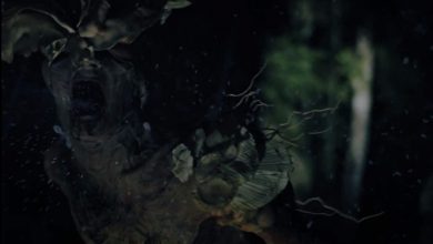 The Last of Us Gaia