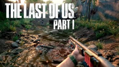 المنظور الاول The Last of Us Part 1
