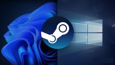 مستخدمي Steam