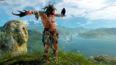 لعبة البقاء Wild