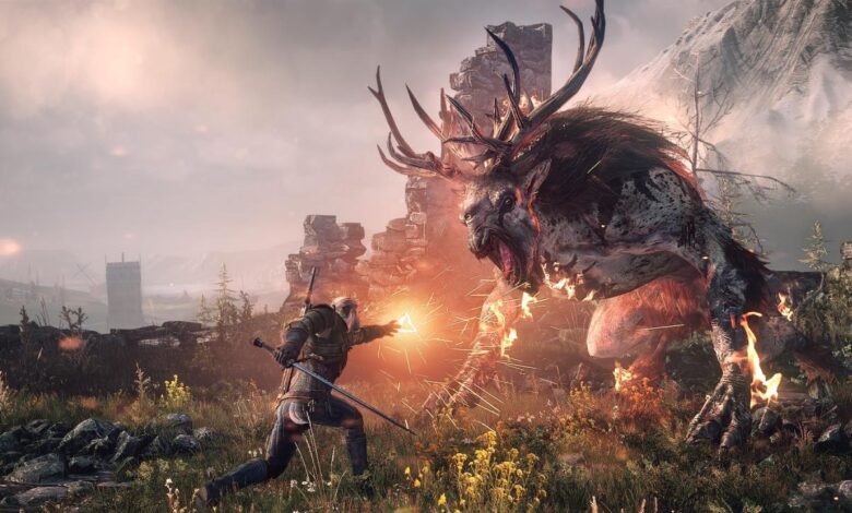 The Witcher 3