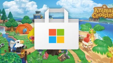 Animal Crossing Xbox Fake