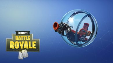 Fortnite