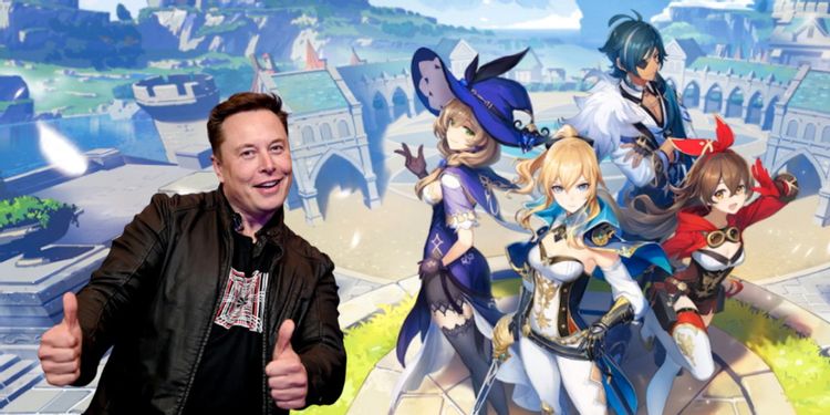 Genshin Impact Elon Musk