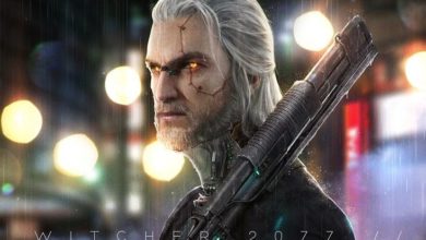 The Witcher