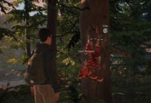 The Last of Us Life Is Strange
