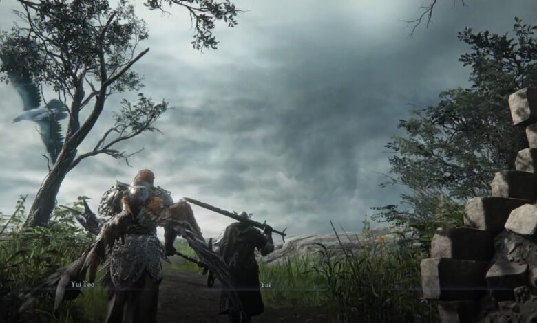 Elden Ring: Nightreign