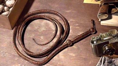 Bethesda Indiana Jones