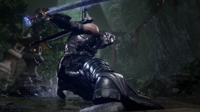 Ninja Gaiden 4